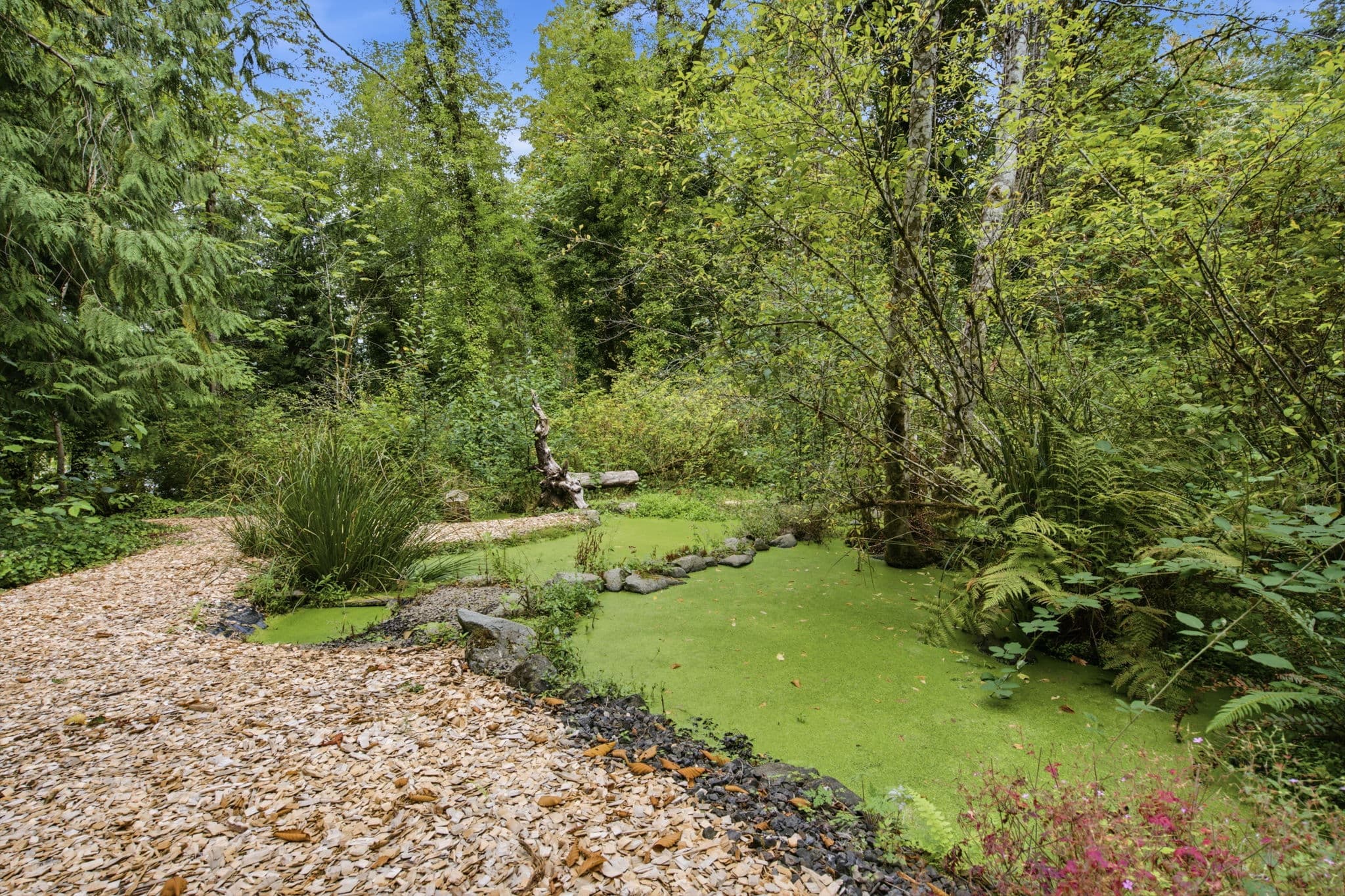 9720 Northeast Lofgren Rd Bainbridge Island, WA 98110, thumbnail 20